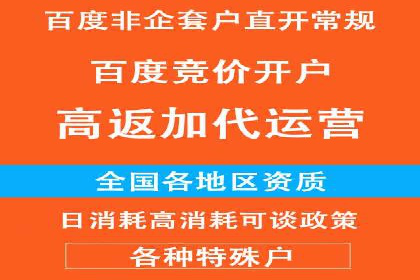 行业领先企业的信息流广告投放策略揭秘